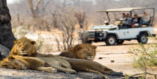 Hwange National Park 1