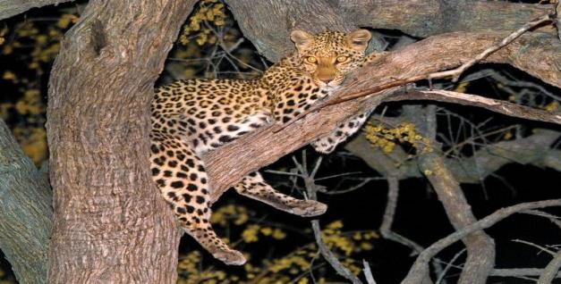 Hwange National Park 2